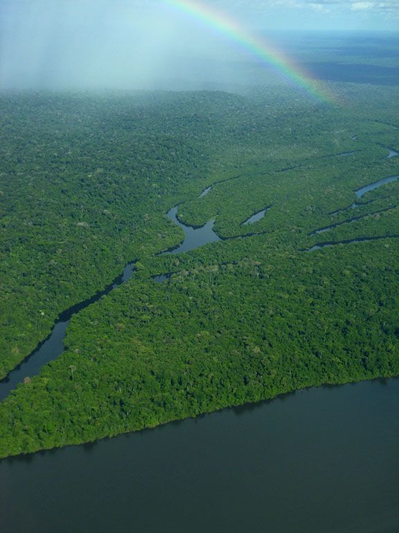 Juruena River